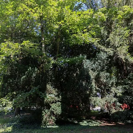 L'odyssée - Parking Privé - Centre * Troyes